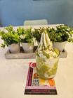 Pistachio Ice-Cream