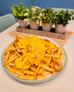 Loaded Dirty Fries
